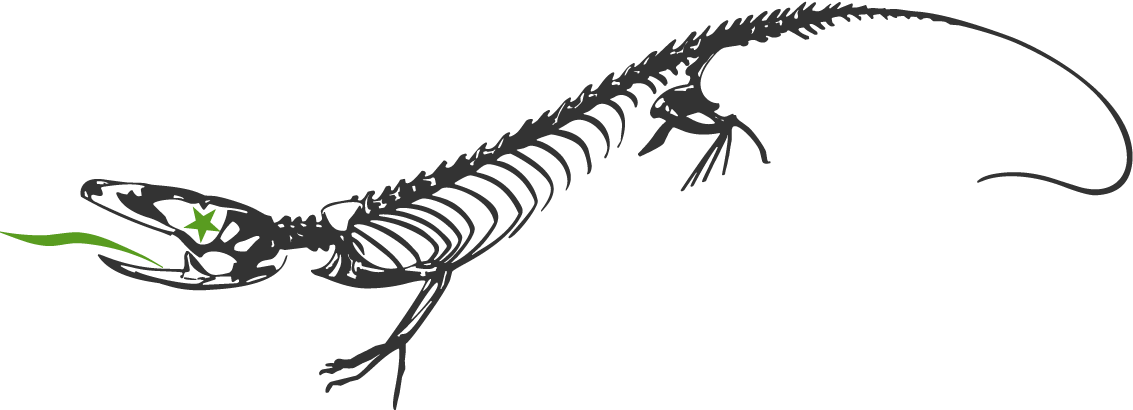 Fahrschule Gisler Geko